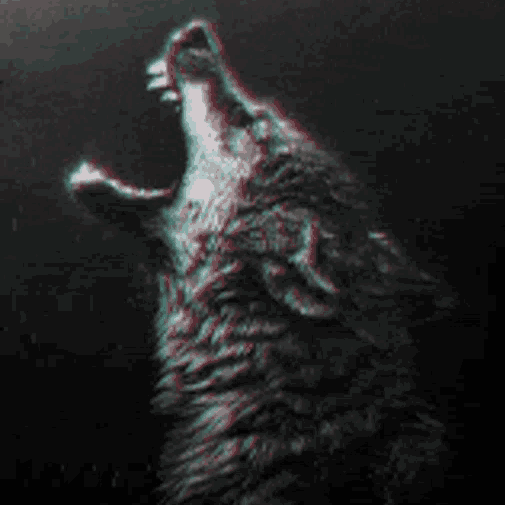 JosipFX